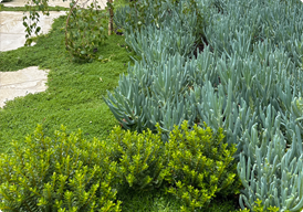 1 6 irrigation design and installation Melbourne