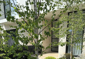 2 4 Soil Conditioning & Mulching