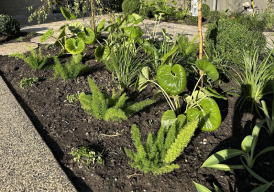 New Project Soil Conditioning & Mulching